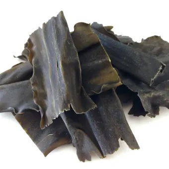 昆布(グルタミン酸)