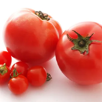 トマト(グルタミン酸)