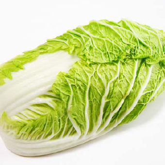 白菜（グルタミン酸）