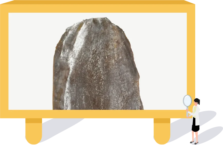 うま味成分が表面に現れたものです