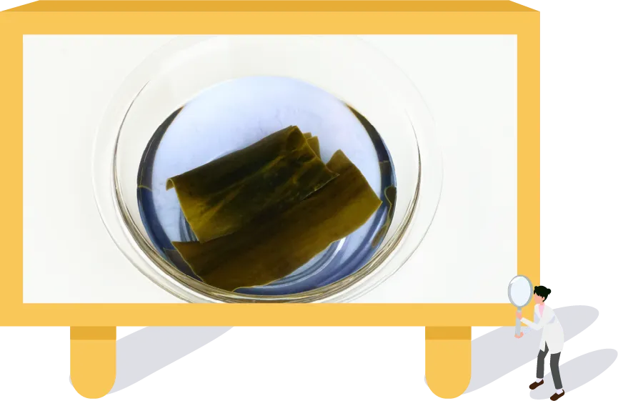 ヨウ素デンプン反応によるものです