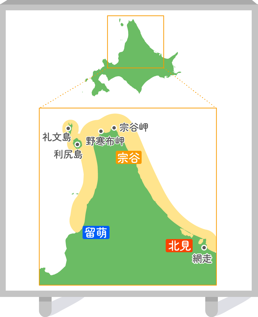 利尻昆布