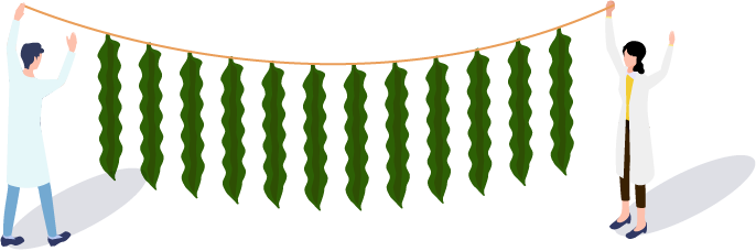 育成法