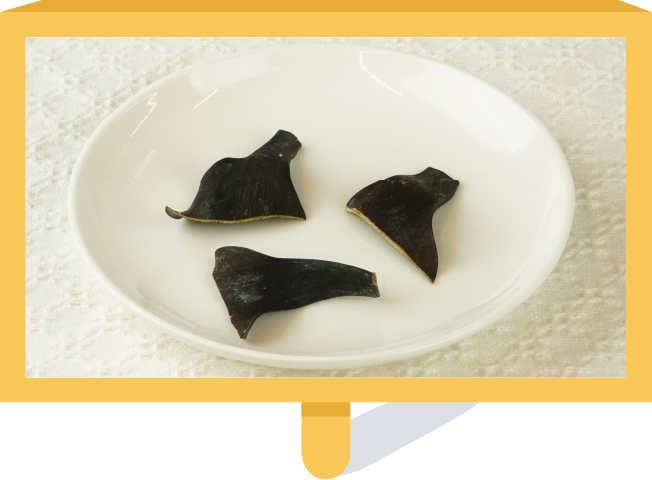根昆布
