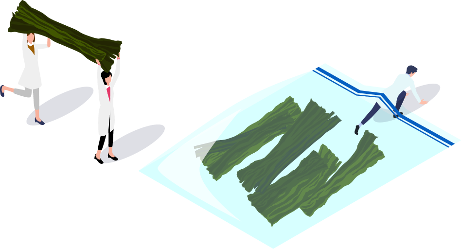 上手な保存の仕方